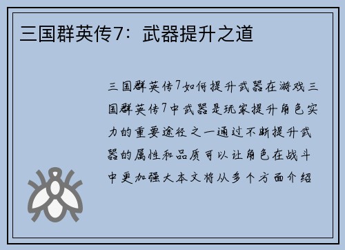 三国群英传7：武器提升之道